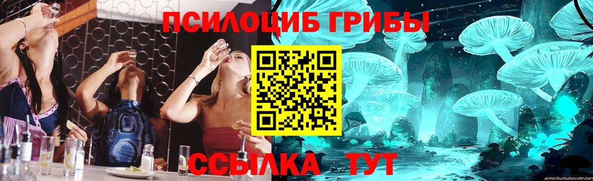 Галлюциногенные грибы Magic Shrooms  Вход с VPN  Зеленодольск  Галлюциногенные грибы Psilocybe 
